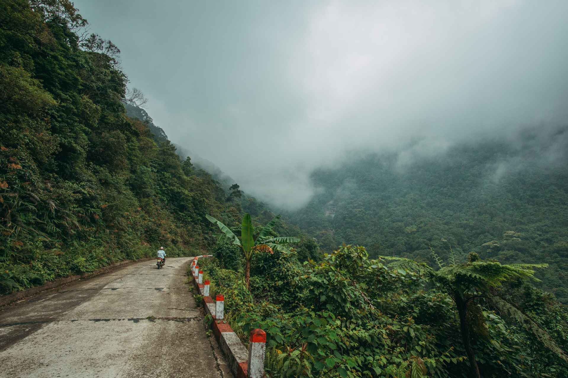 The Ho Chi Minh Trail