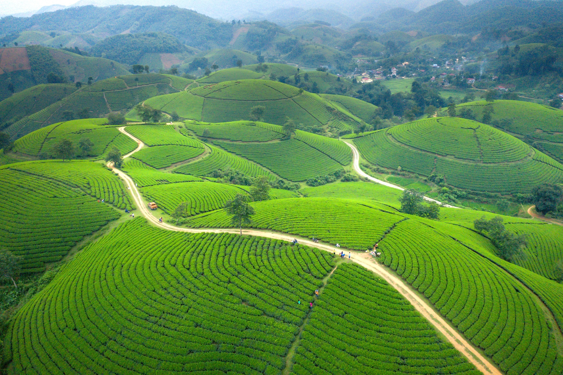 Coffee Country